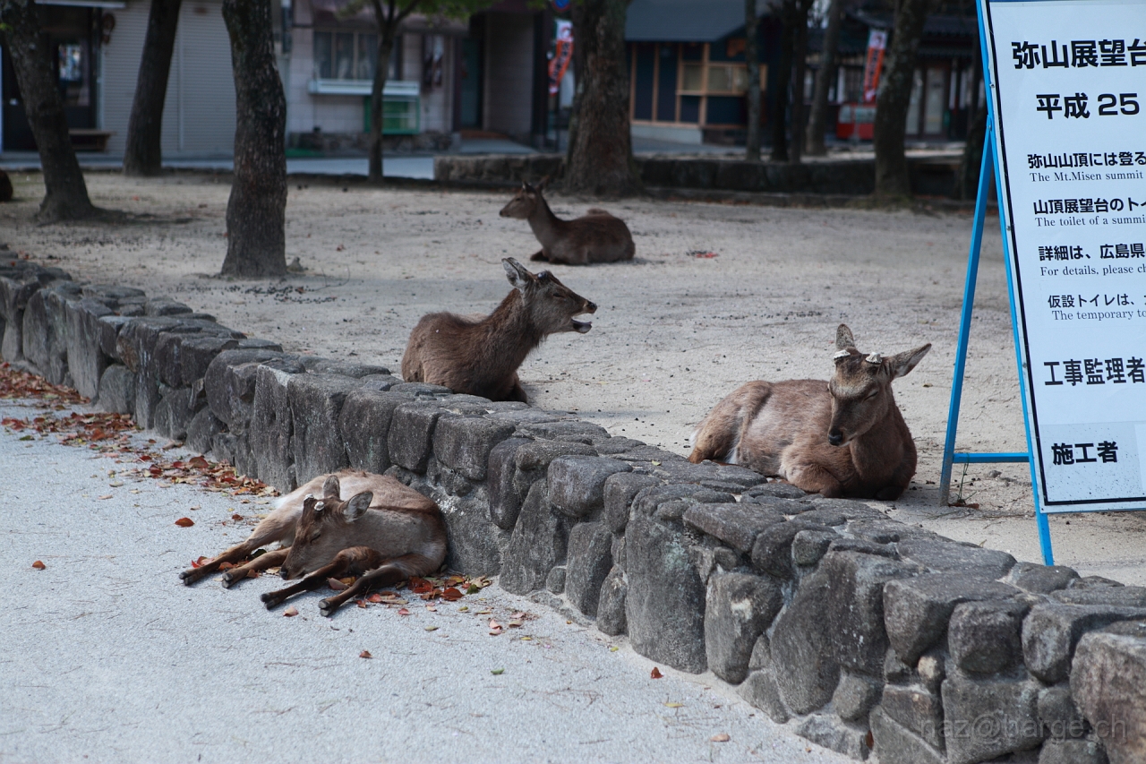 EOS 5D Mark II10_04_20134234.JPG